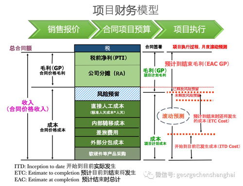 开票无关型专业服务项目公司运营管理体系 流程、财务管理与IT系统及信息系统运维服务